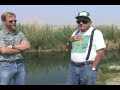 Phil Pister: Managing the Pupfish Habitat, BLM Spring
