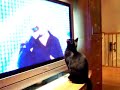 Cat loves Kurt Neilsen