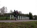 videos de Stopal