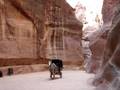 The Siq, Petra (part 2)