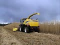ensileuse FR9000 miscanthus