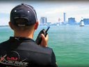 videos de RACE CONTROL Red Bull Air Race