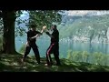 bujutsu international fighting schools