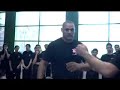 bujutsu international fighting schools