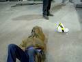 TP TASER TIMMY 2.AVI