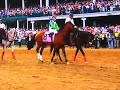 BarbarO\