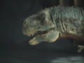 Walking With Dinosaurs Live 2 Walking With Dinosaurs Live 2