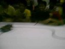 BSECE 5A CLIPS (Mobot nila Gener) BSECE 5A CLIPS (Mobot nila Gener)