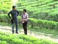Gazipur Tea Garden