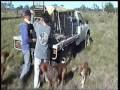 pig hunting 4 pig hunting 4