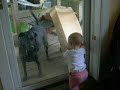 talkin to da dogs talkin to da dogs