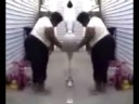 All The SIngle Ladies Parody - Hot Chicks