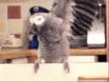JOAN JETT I LOVE ROCK AND ROLL - TRIBUTE TO MAX HITE PART 1 - BEST PARROT VIDEO EVER