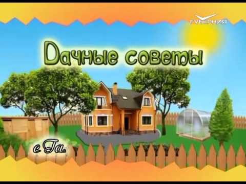 YouTube Трейлер