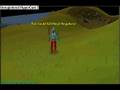 PKING COMING BACK