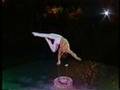 Sharkov Alexander Handstand Equilibrist