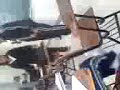 conalep secofi conalep secofi