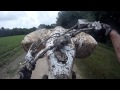 DVX 400 and YFZ 450 wheelies