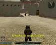 Attack of the ewoks
