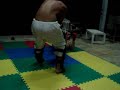 Vale Tudo
