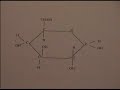 Organic Molecules Science Project