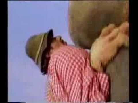Alpen Rap