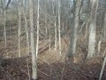 xr100 and crf230 hill climb