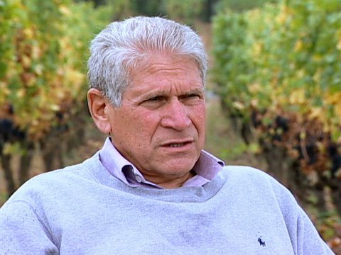Biodynamic Vineyard