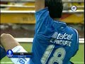 lesion de andrade