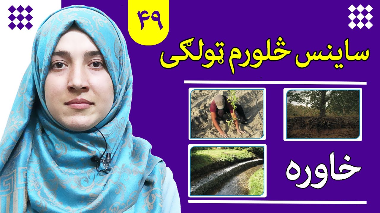 Class 4 - Science | Soil | What are the benefit of soil?