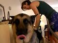 Housekeeping