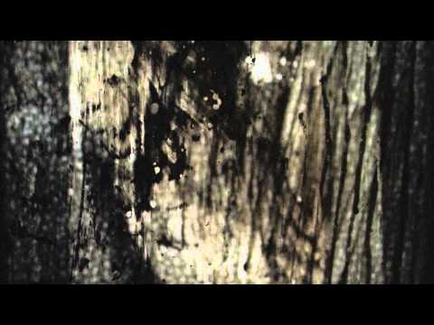 video_img