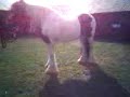 Just a test 6a (09-09-06_1456.3gp) for September 19, 2006, 02:46 PM