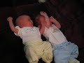 Haley & Cole Haley & Cole
