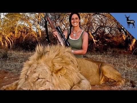 bachman - How do you guys feel about 'hardcore huntress' Melissa Bachman killing a Lion and posting a smiling picture of her kill on the web? We're putting out new epi...