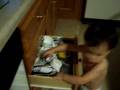 videos de boboo.MOV