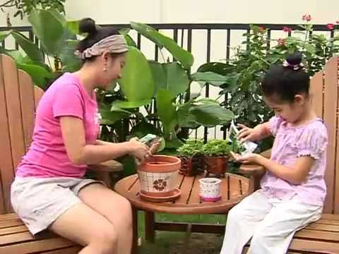 การปลูกพืชสมุนไพร - นำเสนอโดย. ท.ทิวเทือกเขา http://www.kasetsomboon.org บ้านเกษตรสมบูรณ์ ต.ร่มเย็น อ.เชียงคำ จ.พะเยา...