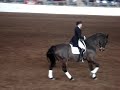 Dressage Demo at 2007 Harrisburg Horse World Expo Dressage Demo at 2007 Harrisburg Horse World Expo