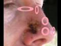 videos de This could save your life
