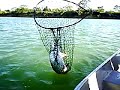 pesca en balancan tabsco familia aguilar quintero