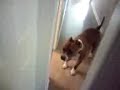 Spike Finding Me