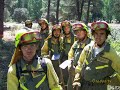 brif mensaje ecologista