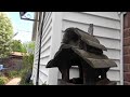 Click here to watch this video Father And Son Extermanating