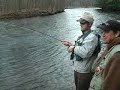 steelhead steelhead
