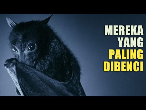 Kelelawar: kenapa mereka begitu penting?