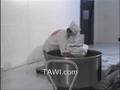 TAWI ergonomic sack lifter