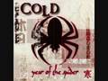 Cold - Remedy