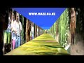 The Amazing Maze 'n Maize
