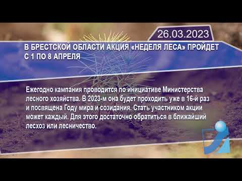 Новостная лента Телеканала Интекс 26.03.23.