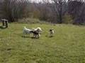 West Country 2008